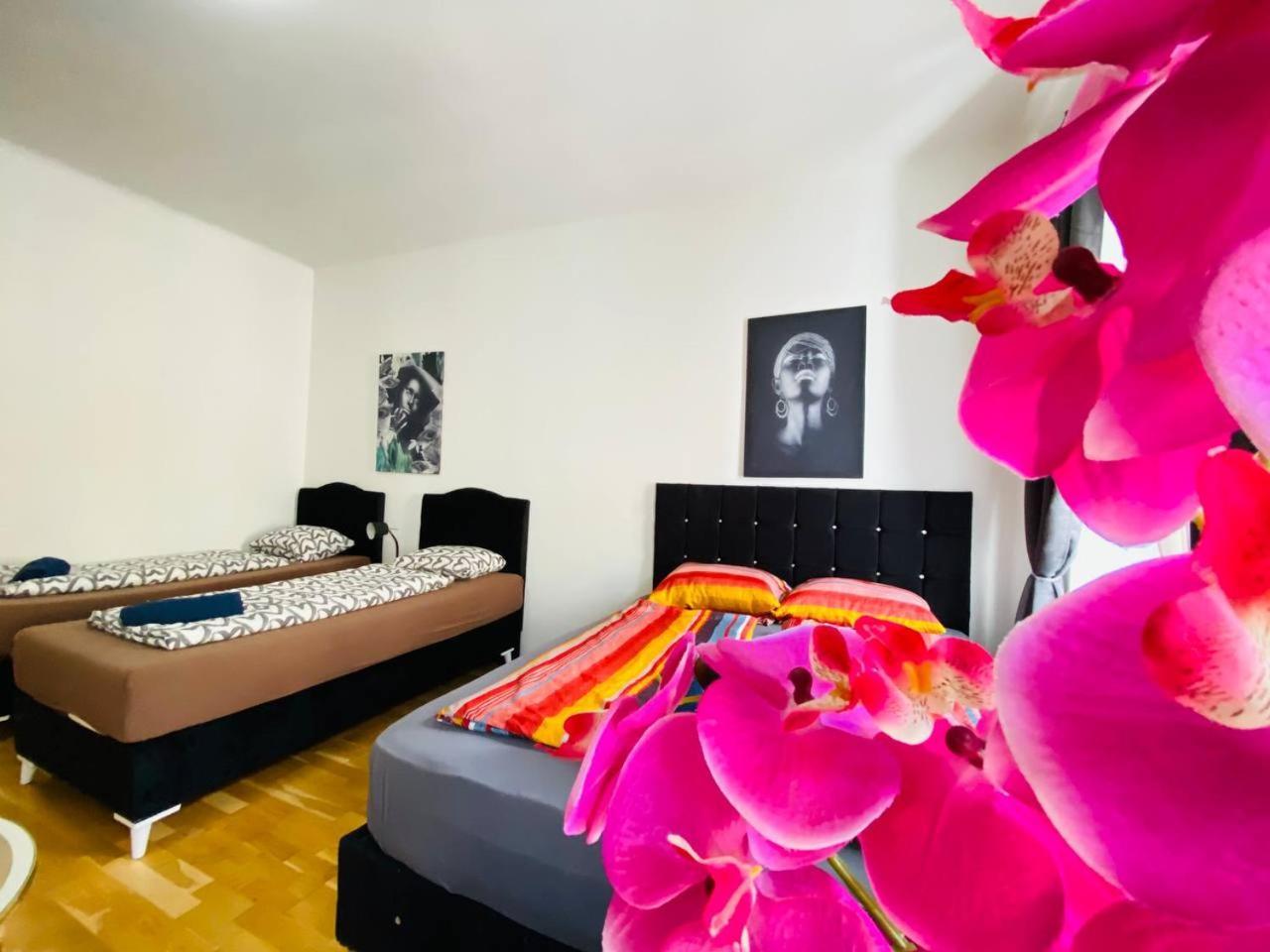 Deluxe Studio In Josefstaedter Strasse Area Apartman Bécs Kültér fotó