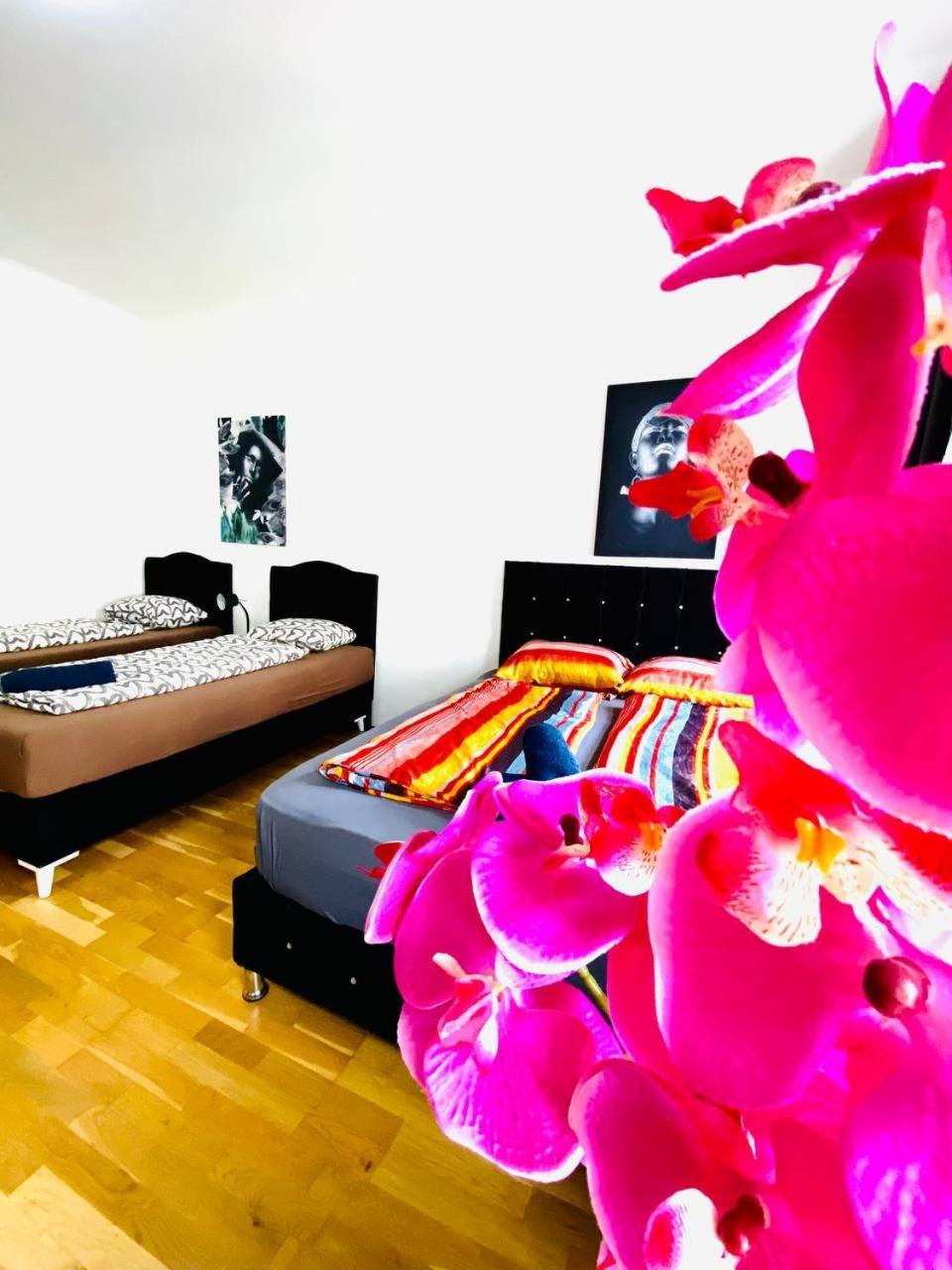 Deluxe Studio In Josefstaedter Strasse Area Apartman Bécs Kültér fotó